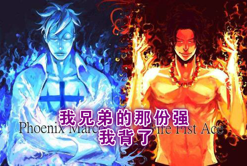 "比红发年长,比黑胡子年长,怎能不强" 我马尔科今年45岁,红发香克斯