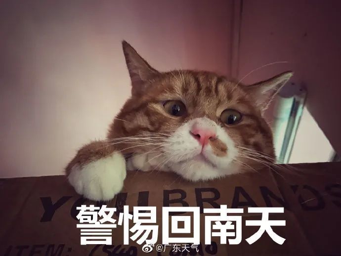 挺住!回南天 冷空气组团来袭!