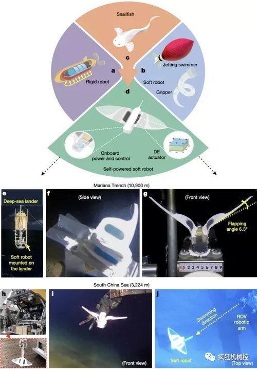 软体机器人|国产软体机器人成功挑战水下10900米，无耐压外壳游最深海沟