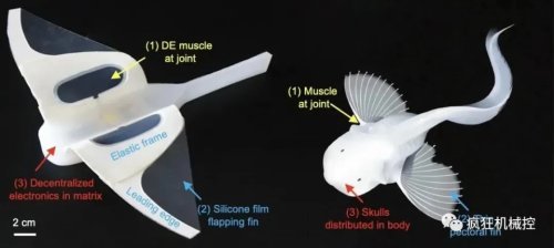 软体机器人|国产软体机器人成功挑战水下10900米，无耐压外壳游最深海沟