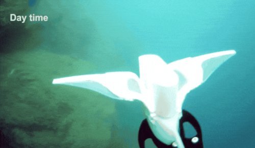 软体机器人|国产软体机器人成功挑战水下10900米，无耐压外壳游最深海沟