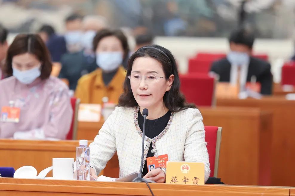 江苏代表团举行全体会议审议政府工作报告践行嘱托走在