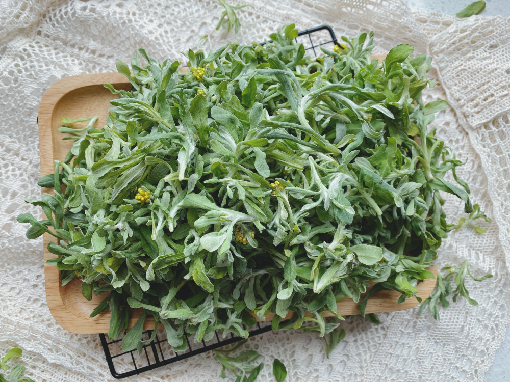 自制青团给你详细做法和比例软糯好吃不塌陷颜色翠绿不发黑