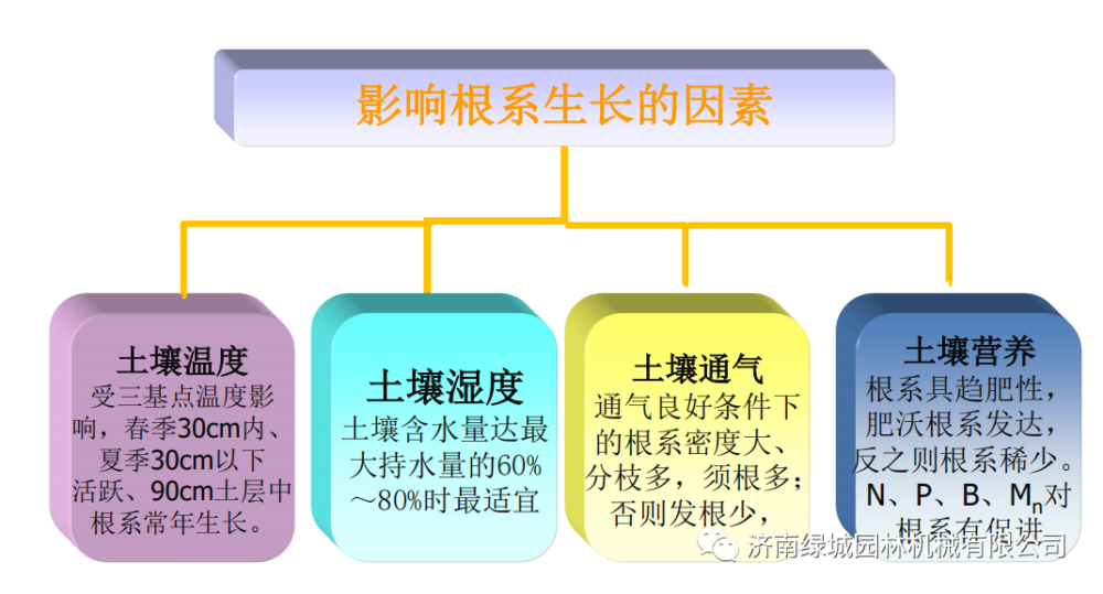 园林植物|影响根系生长的因素-只需三招让园林植物生长健壮