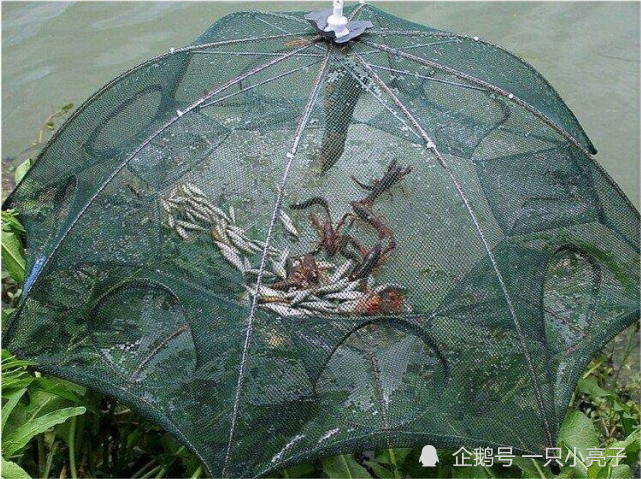 禁渔令7种渔具4种方式都禁止使用若心存侥幸则必然不幸