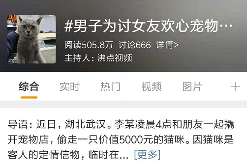猫：我知道我很有魅力，但请你克制！_腾讯网