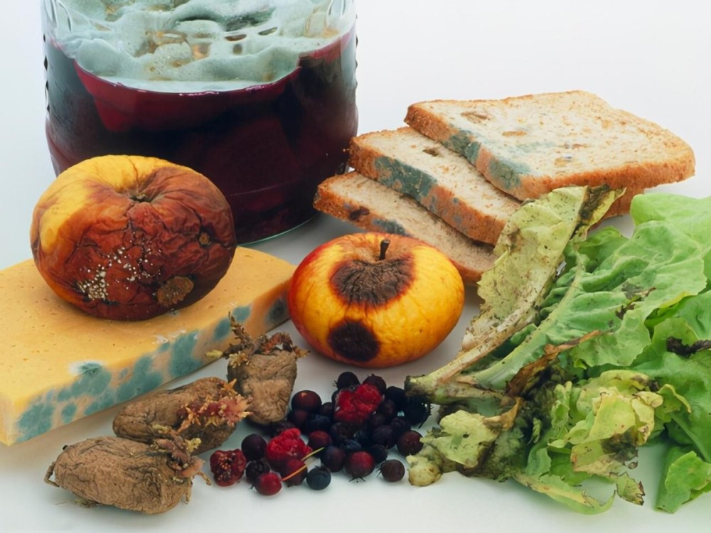 胃病|80岁三甲院士直言：胃病常犯的人，3物尽量少吃，胃会感激你！