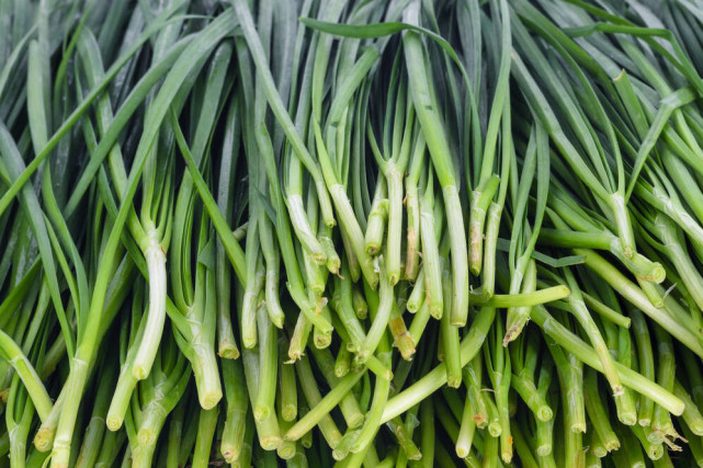 买韭菜时,选宽叶的还是窄叶的?区别还挺大,弄懂后别再买错了_腾讯网