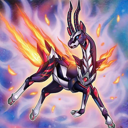 游戏王卡组 转生炎兽可以大量出差的卡组 攻击力低下的卡组偏爱 腾讯新闻