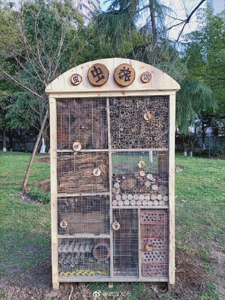 解放公园新建成昆虫旅馆快去打卡吧