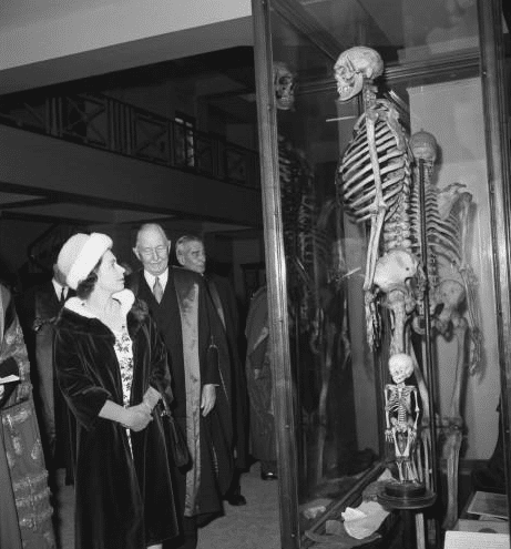 化石|“南美雪人”化石被发现？体重超过一吨，地球上有过巨人族吗？