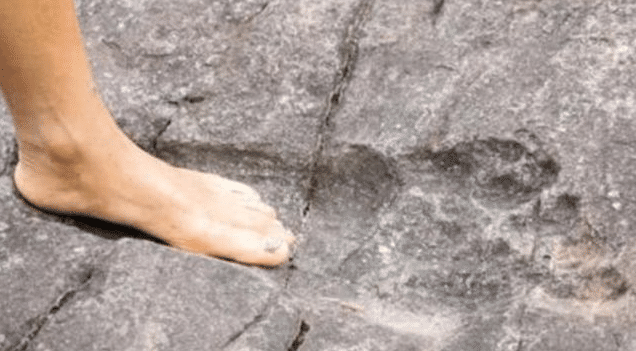 化石|“南美雪人”化石被发现？体重超过一吨，地球上有过巨人族吗？