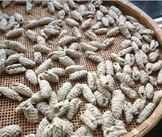 东阳旅游,这11道当地特色美食值得品尝,让你领略浙江独特风味