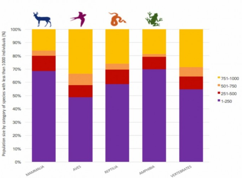 地球|450种蝴蝶命运被改写，地球巨变正悄悄发生，人类真的要警惕了