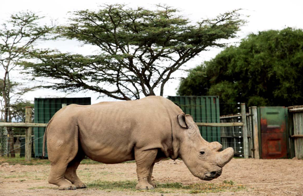地球|450种蝴蝶命运被改写，地球巨变正悄悄发生，人类真的要警惕了