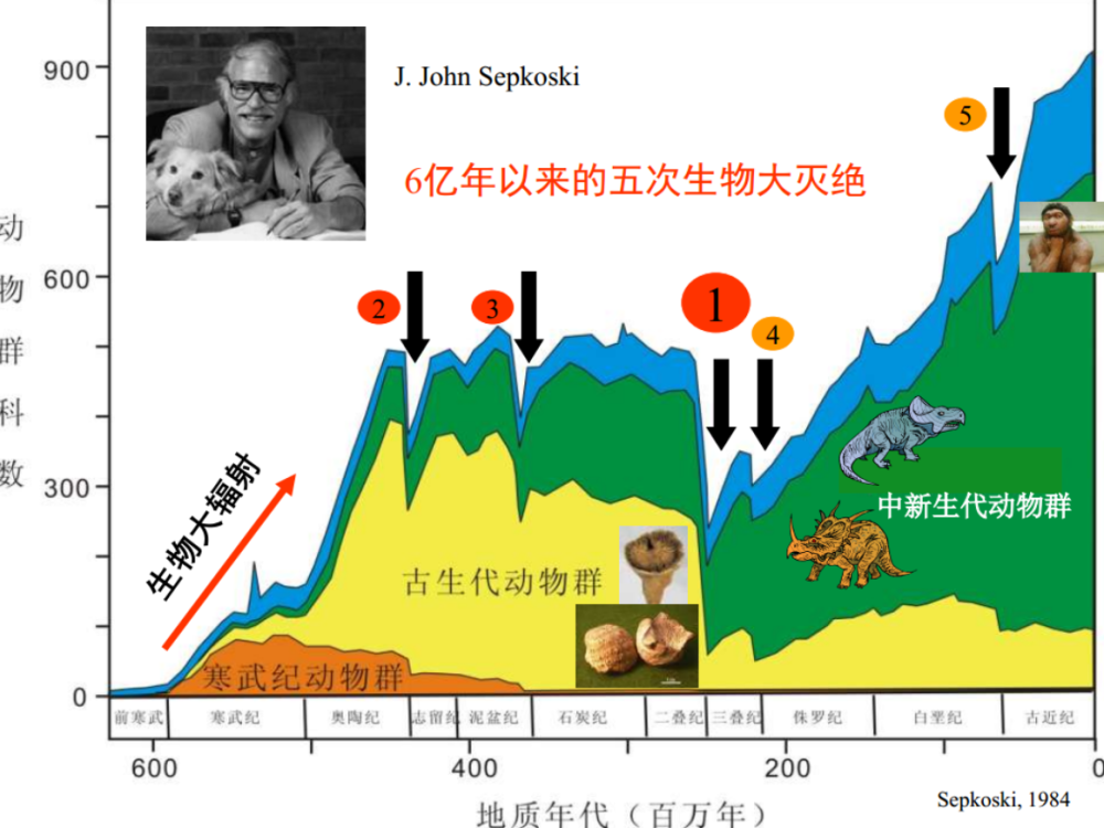 地球|450种蝴蝶命运被改写，地球巨变正悄悄发生，人类真的要警惕了