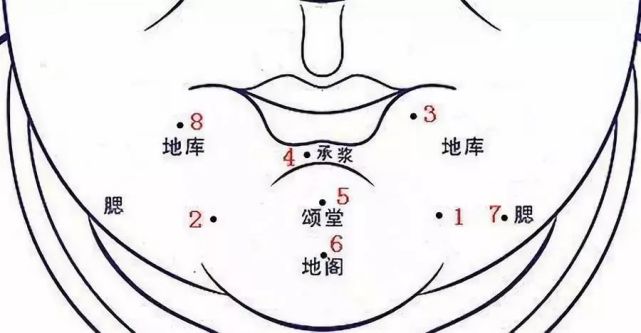 下巴田宅痣位置图图片