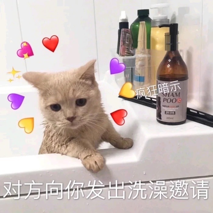 撩男朋友的表情包今天也要爱我呀