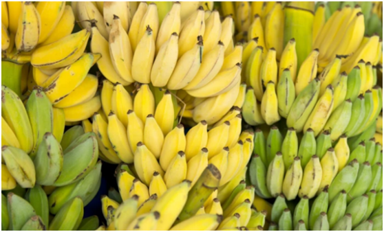 肠道|肠道“清道夫”出现了，不是香蕉，隔三差五吃一点，排出黑臭宿便