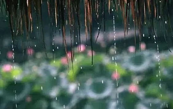 疫情|最新公布！四川、湖北各一起，警惕疫情抬头