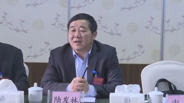 【聚焦县两会】陆发林参加永宁镇,新铺镇代表团审议|永宁镇|关岭自治