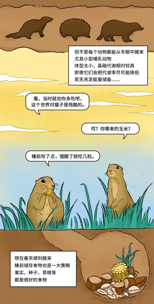 达乌尔|春天到了，猜猜动物们该做什么事情啦～