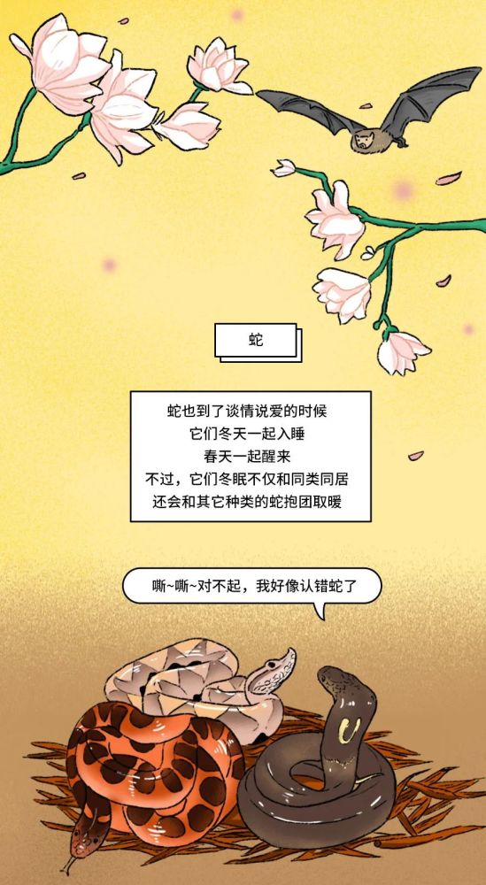 达乌尔|春天到了，猜猜动物们该做什么事情啦～