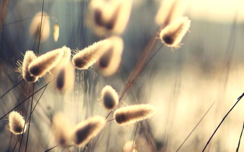 彗星|人死后会去哪里？日本彗星专家亲身经历，会在这段特殊的时空中！