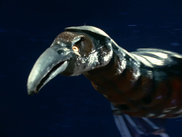 盘点雷欧奥特曼中登场的圆盘生物_腾讯新闻