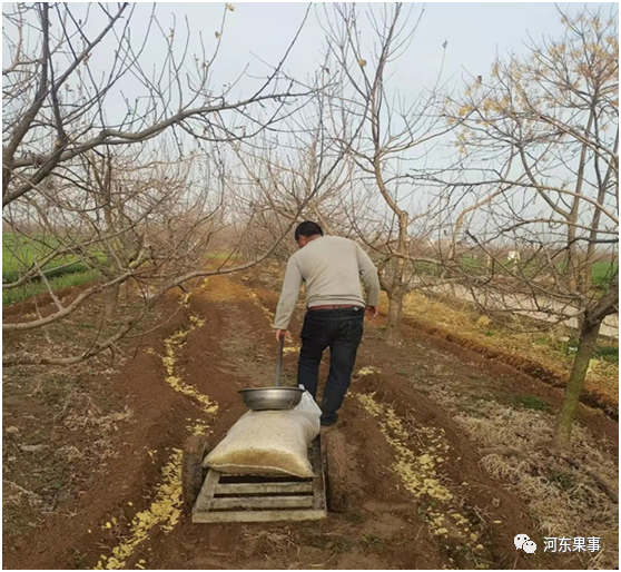 倒春寒|倒春寒发生前的预防措施及发生后的补救措施