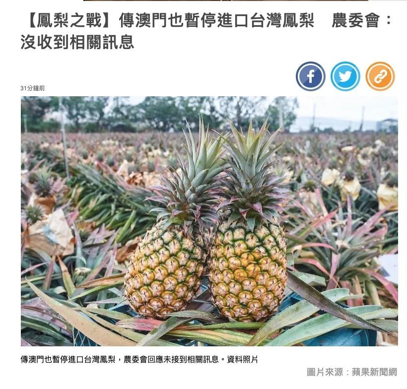 澳门暂停引进台湾凤梨图片