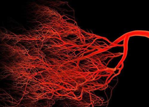 低密度脂蛋白|男子3个月不到，低密度脂蛋白从6.8降到2.7，方法值得借鉴