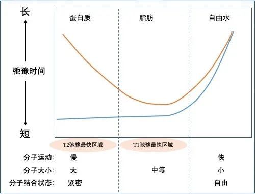 脑出血|理解是最好的记忆——细说脑出血核磁信号演变