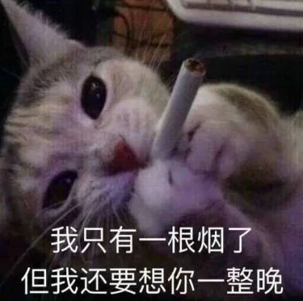 想你表情包