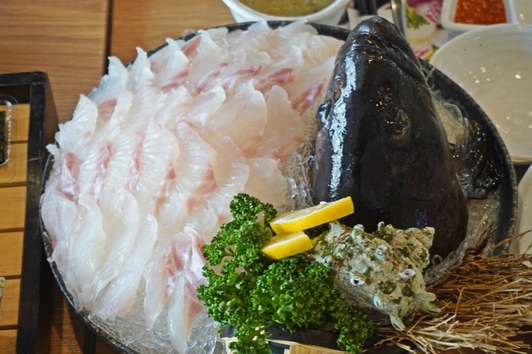 济州岛民都很难品尝到的最高级生鱼片 东洋鲈 腾讯新闻