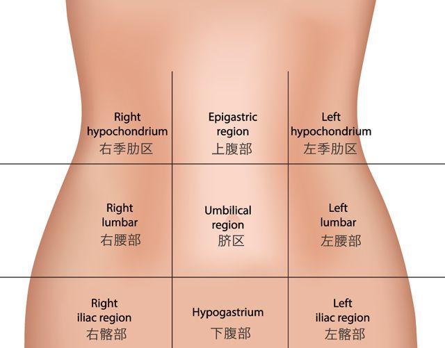 内脏|腹痛绝不只是肚子痛这么简单，这样判断病位，危机时刻能救命！