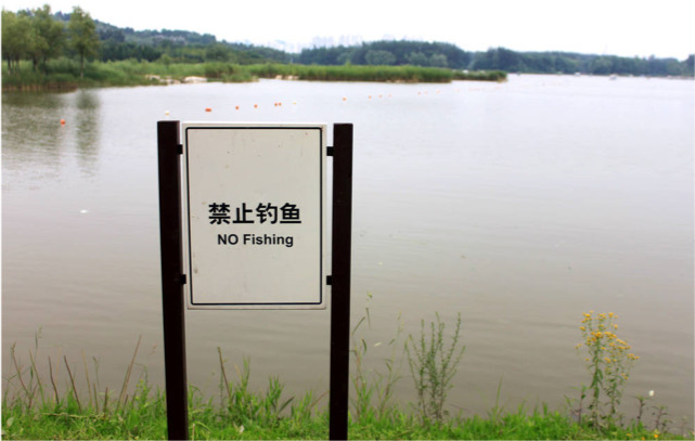 支持者:想钓鱼,买口水缸放家里!_腾讯新闻