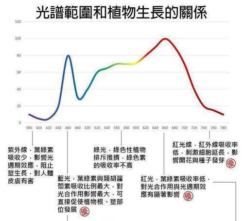 太阳光中能量最强的部分在550纳米左右,刚好位于黄绿色波段,然而植物