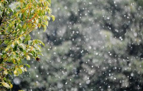 陝西迎降水降溫吹風天氣