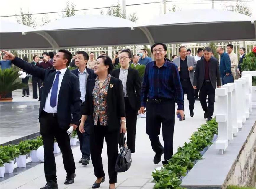 贝利特|宁夏贝利特：傲立氰胺产业前沿