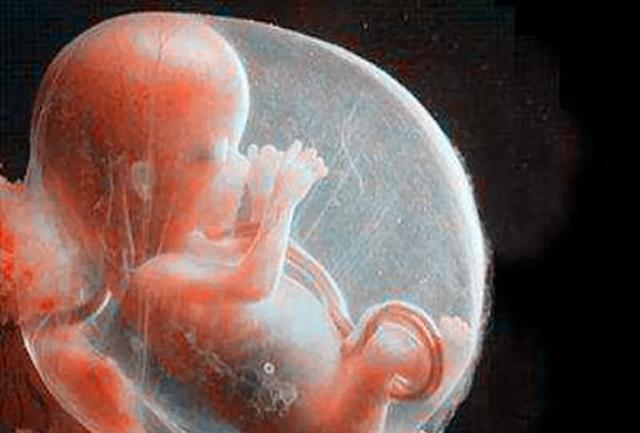 胎儿"畸形"很多是"吃"出来的!医生:孕期这3种食物千万别碰