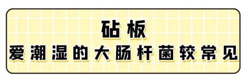 肠道|这样吃饭＝吃病菌！家里特别脏的3个地方，搞干净全家少生病