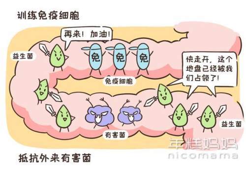 肠道|这样吃饭＝吃病菌！家里特别脏的3个地方，搞干净全家少生病