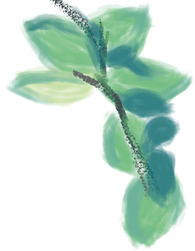 风疹|春季常见传染病防控知识之风疹篇