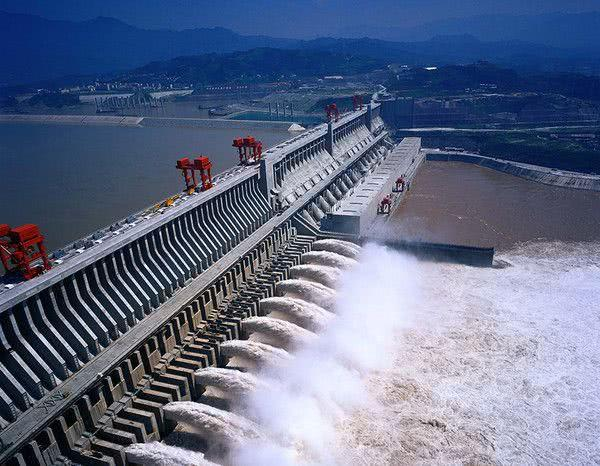 拦坝年 鱼类乐园 三峡水库库区里的鱼能长到多大 白鲟 鱼类 三峡水库 中华鲟