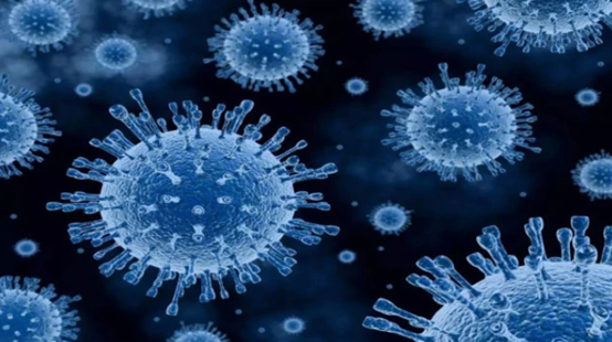 比尔·盖茨|新冠只是一个开始？比尔·盖茨预言，两大威胁比新冠更加可怕