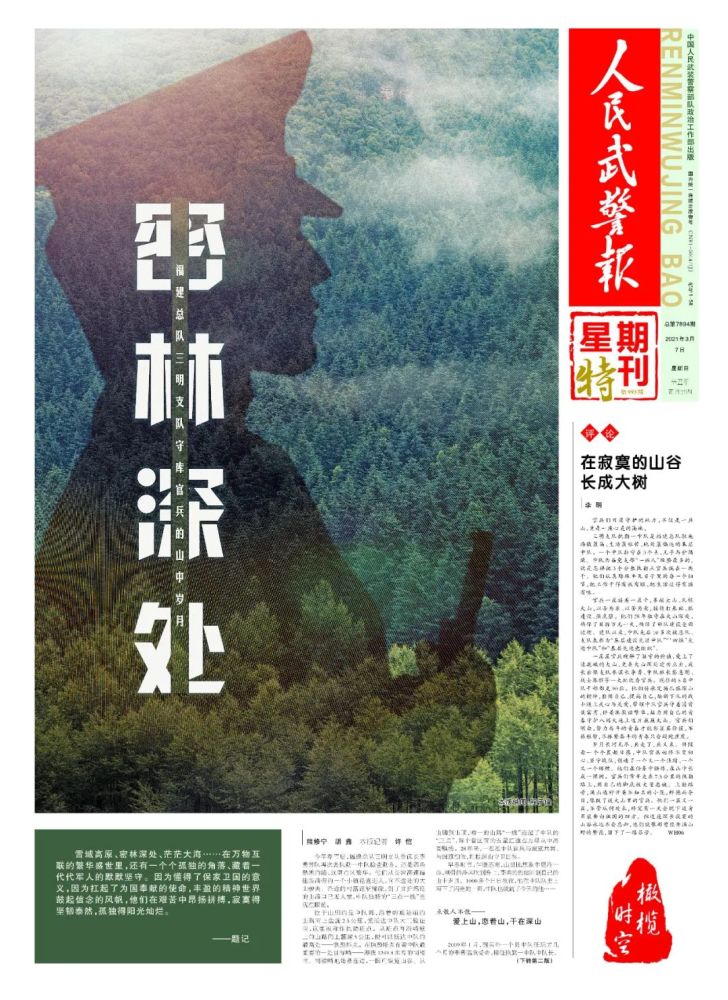 星期特刊丨密林深处