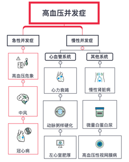 动脉硬化|动脉粥样硬化到底是怎么回事？看完你就懂了！