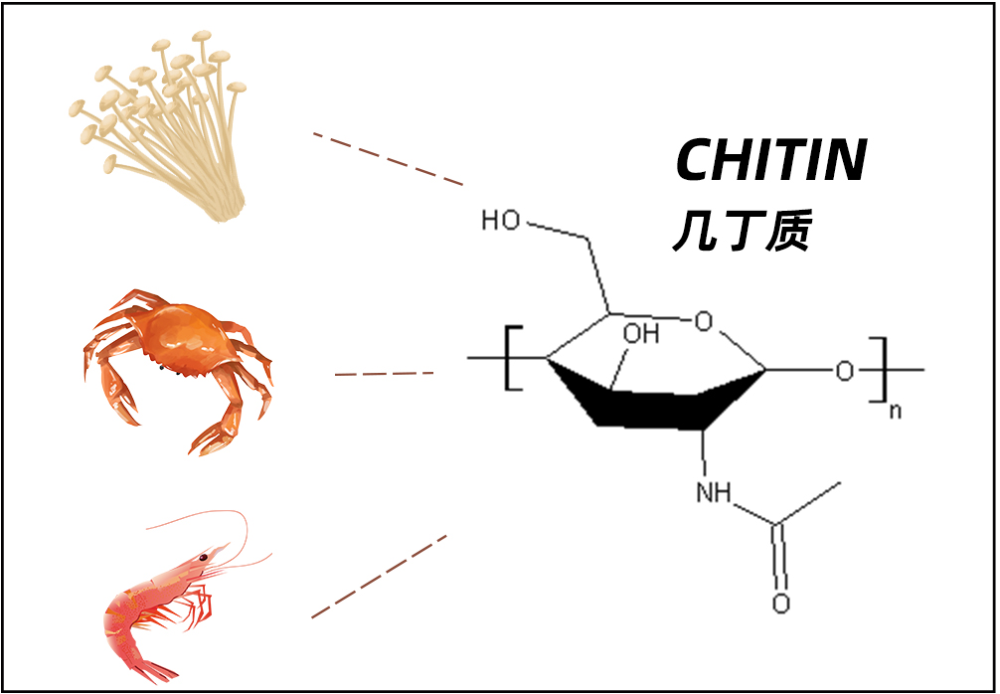 金针菇|为什么金针菇不容易消化？这样岂不是白吃了？