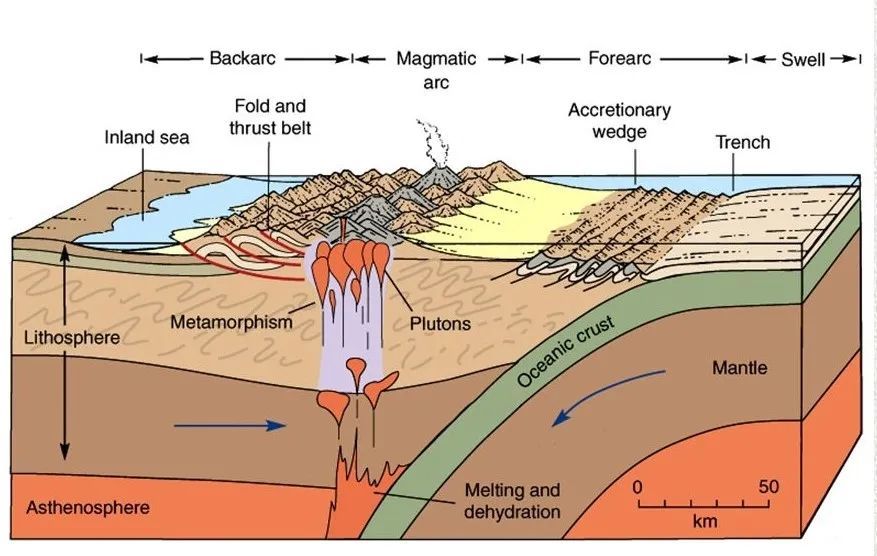 在世界上构造运动最激烈的地区,板块挤压碰撞就会在交界处隆起,形成